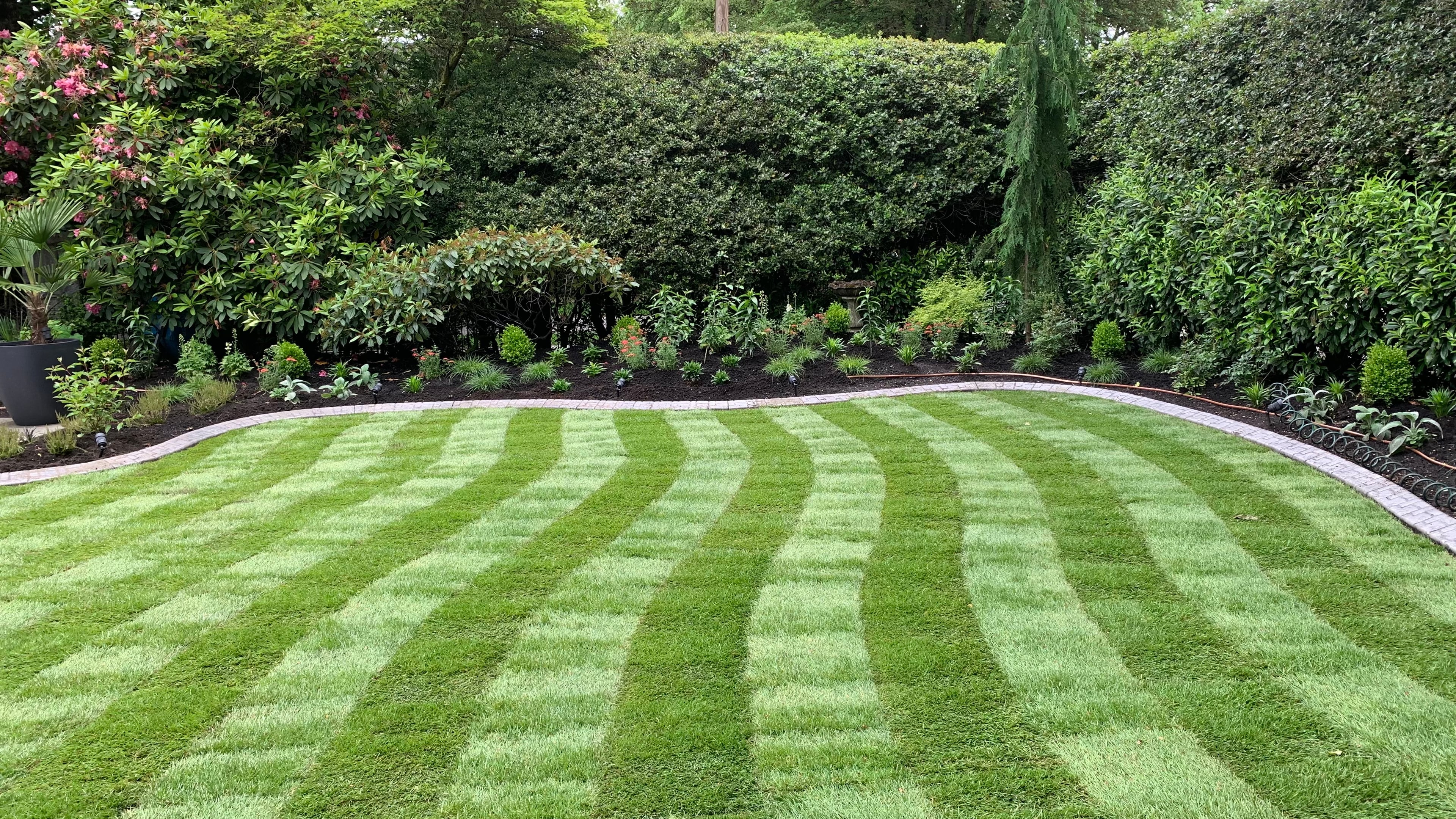 Sod lawn, Outdoor Lighting, Putting green and Concrete walkway at the Cartier St project.