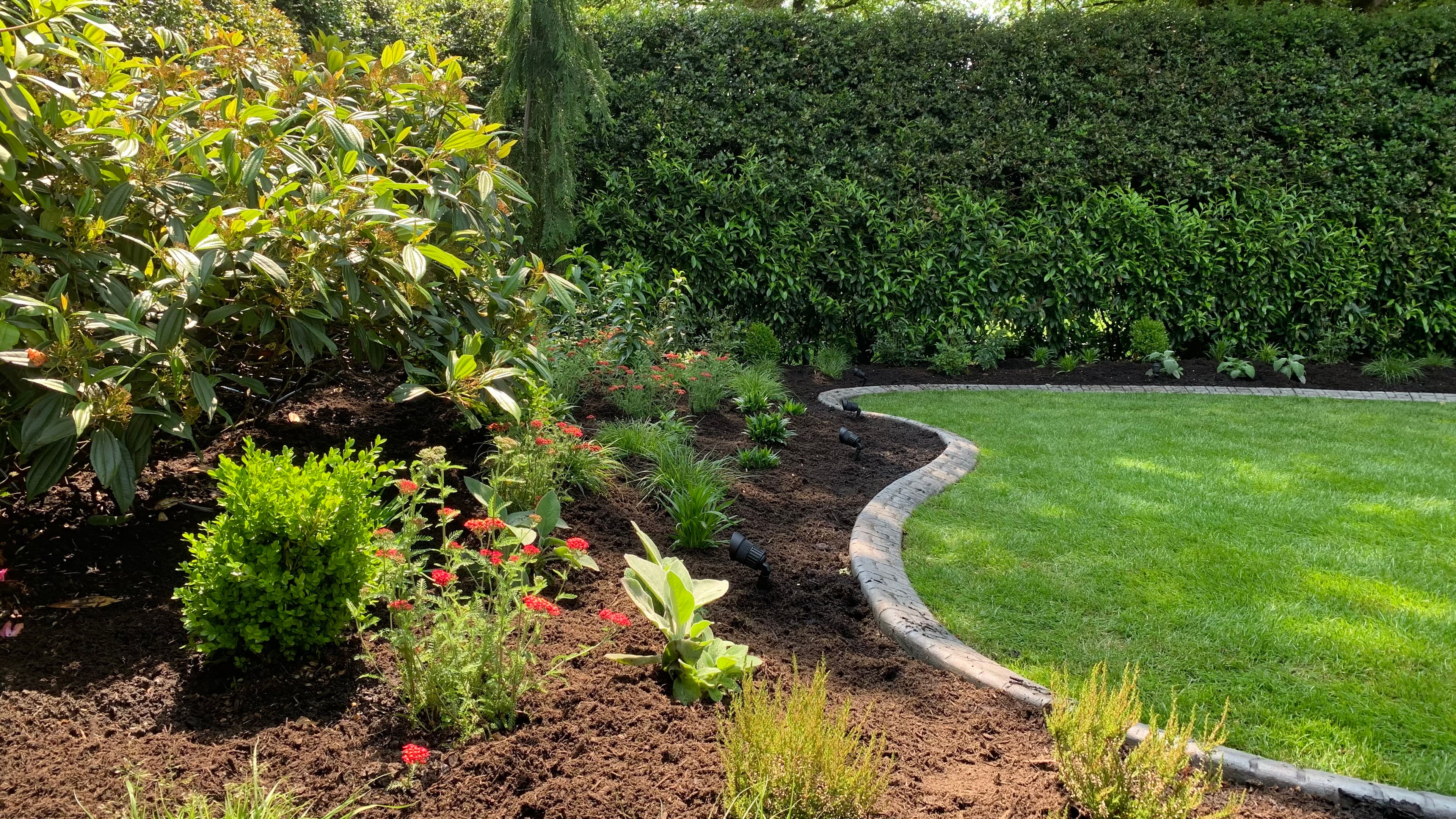 Sod lawn, Outdoor Lighting, Putting green and Concrete walkway at the Cartier St project.