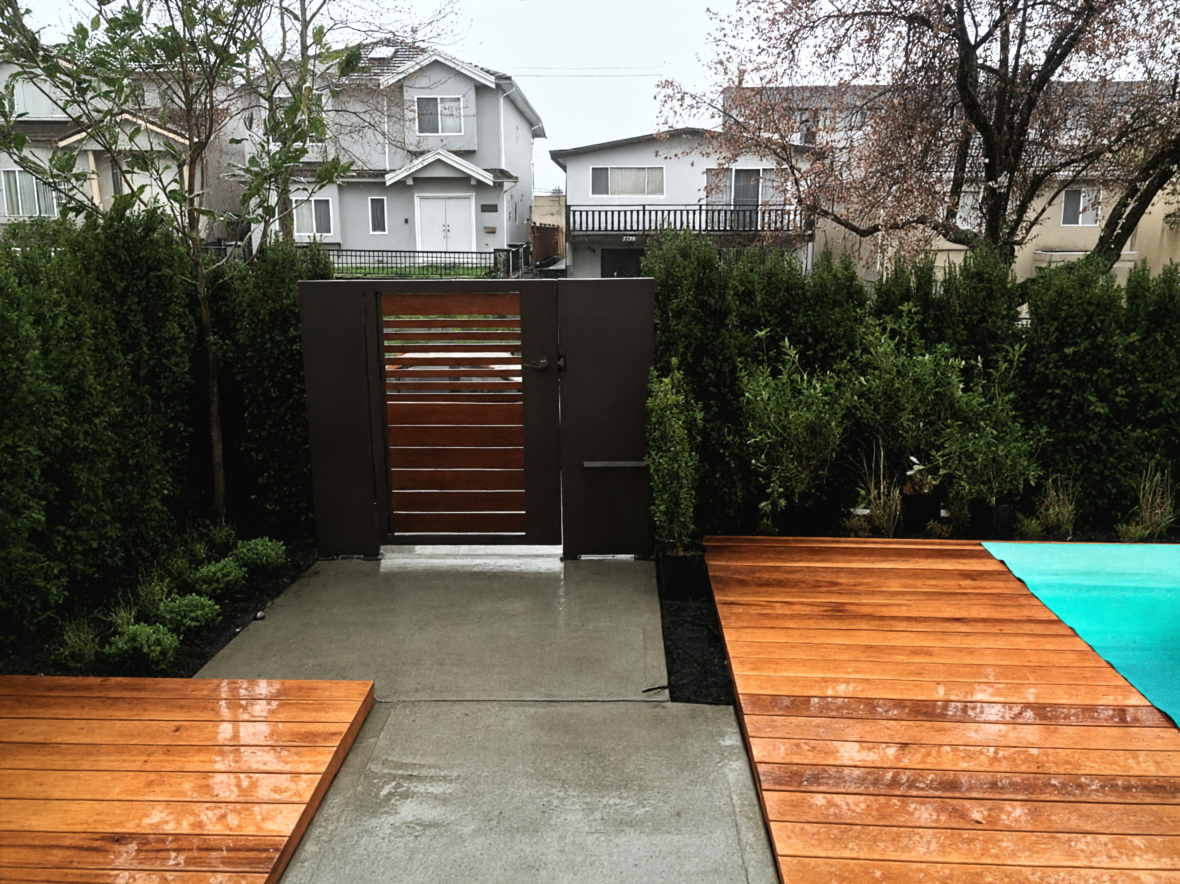 Cedar decking, Hedges, Outdoor Lighting and Plants at the Duke St project.