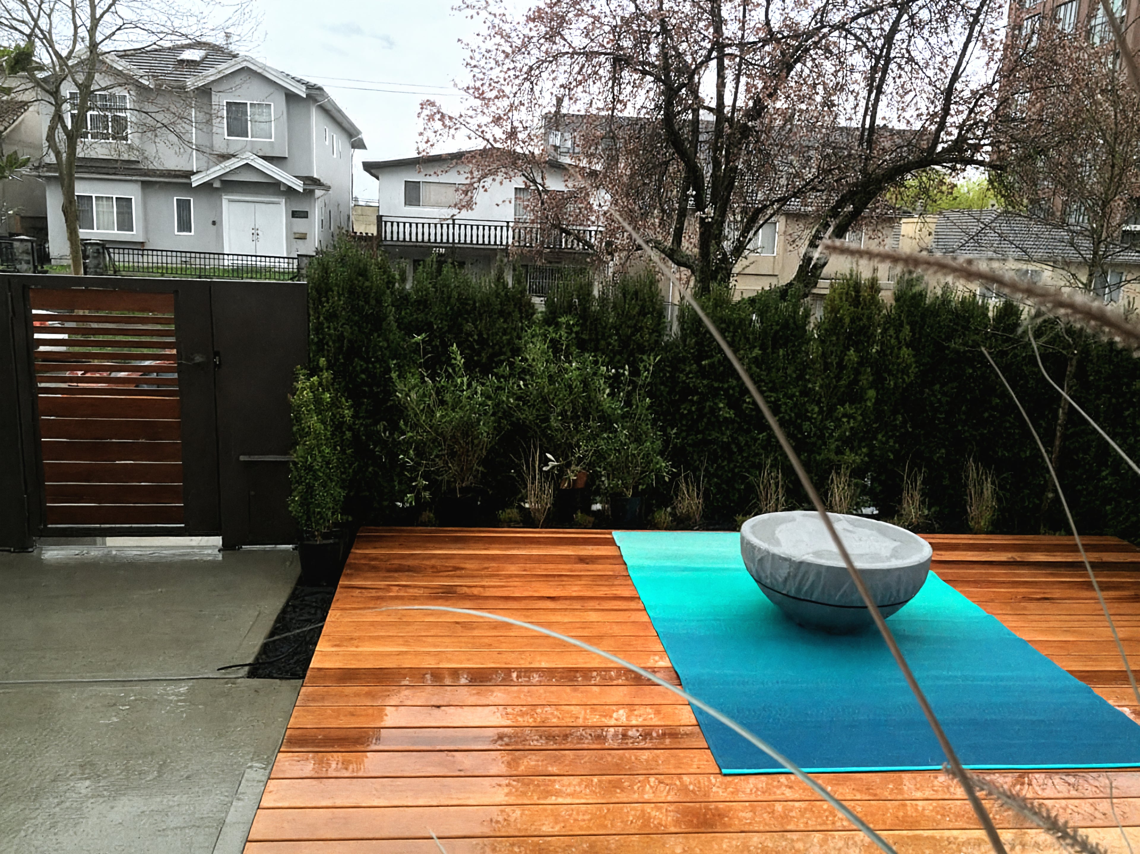 Cedar decking, Hedges, Outdoor Lighting and Plants at the Duke St project.