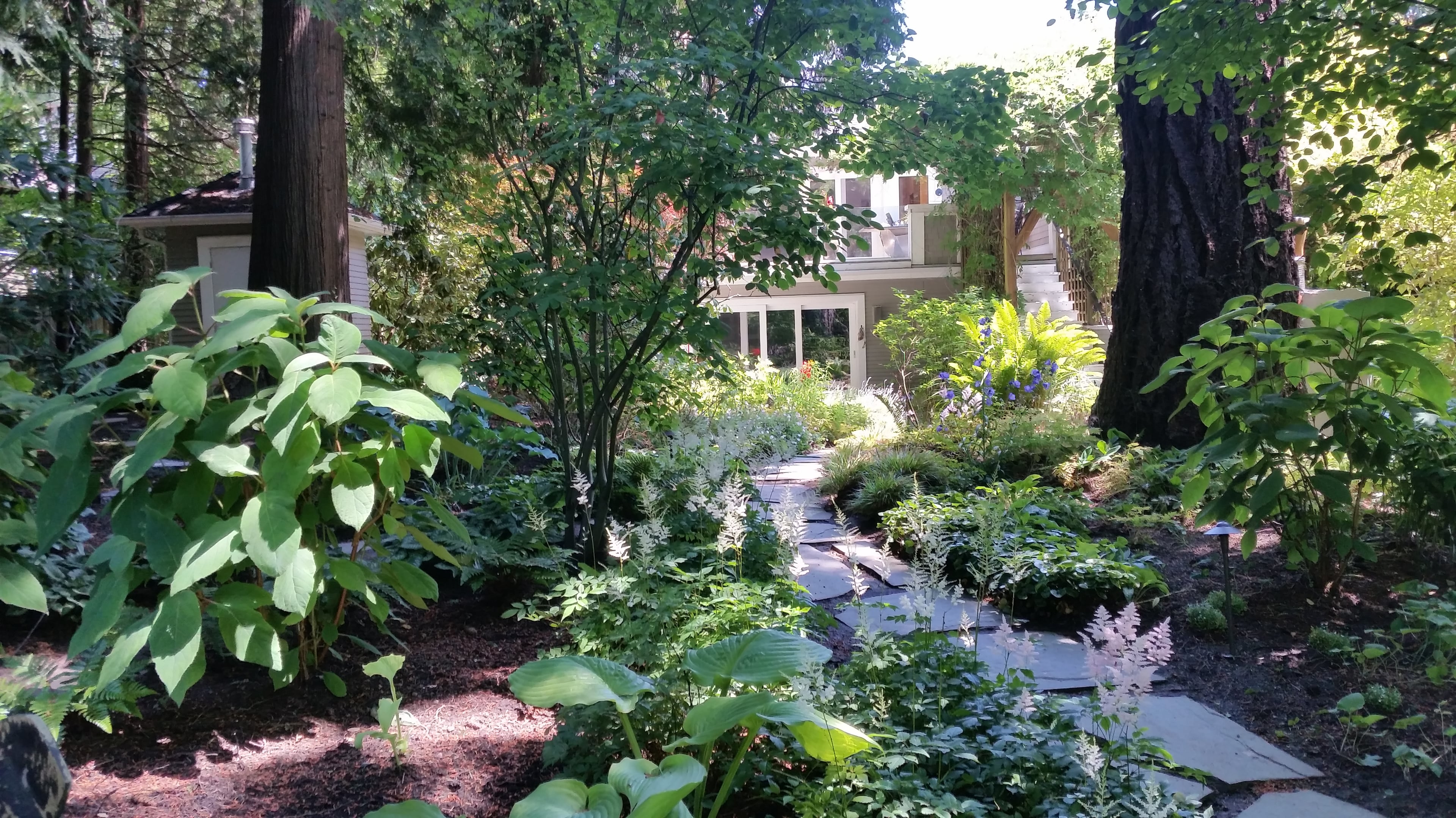 Micro clover, Seasonal planting, Sod lawn and River rock at the Elm St project.