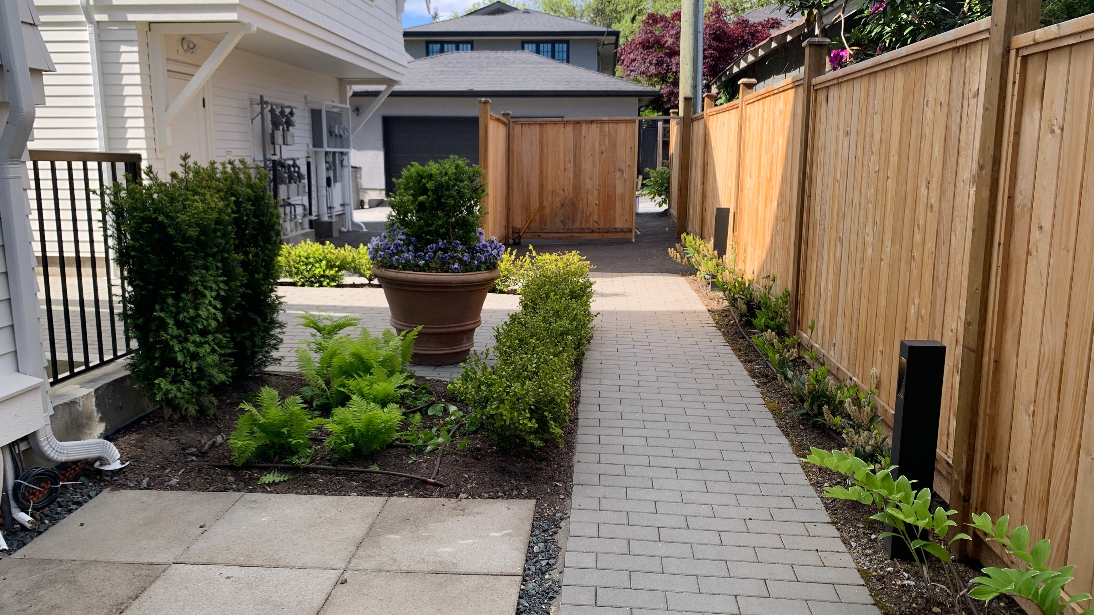 Irrigation, Sod lawn, Plants and Interlocking pavers at the Larch St project.