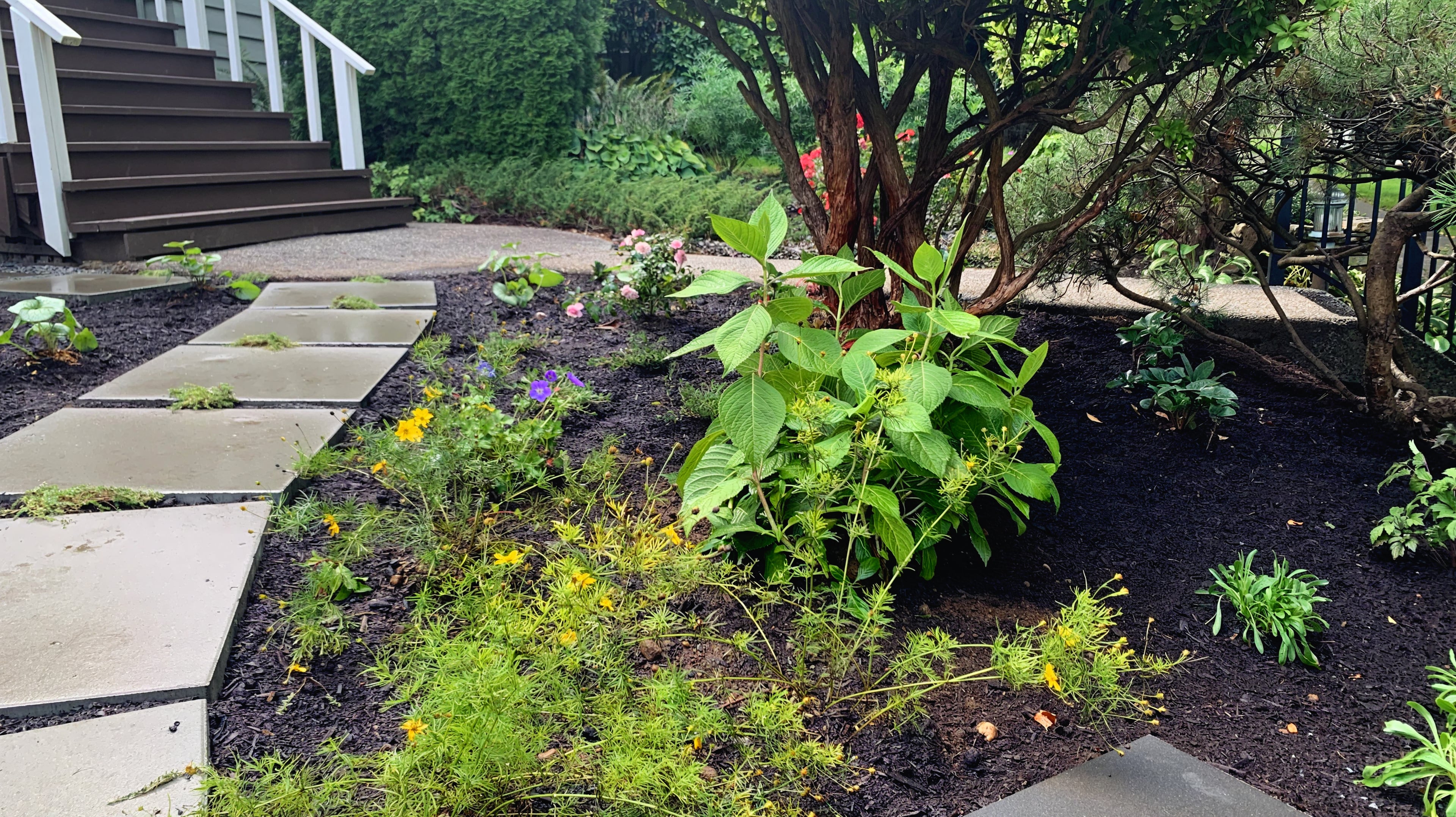 Custom design, Concrete slabs, Garden beds and Plants at the West 10th project.
