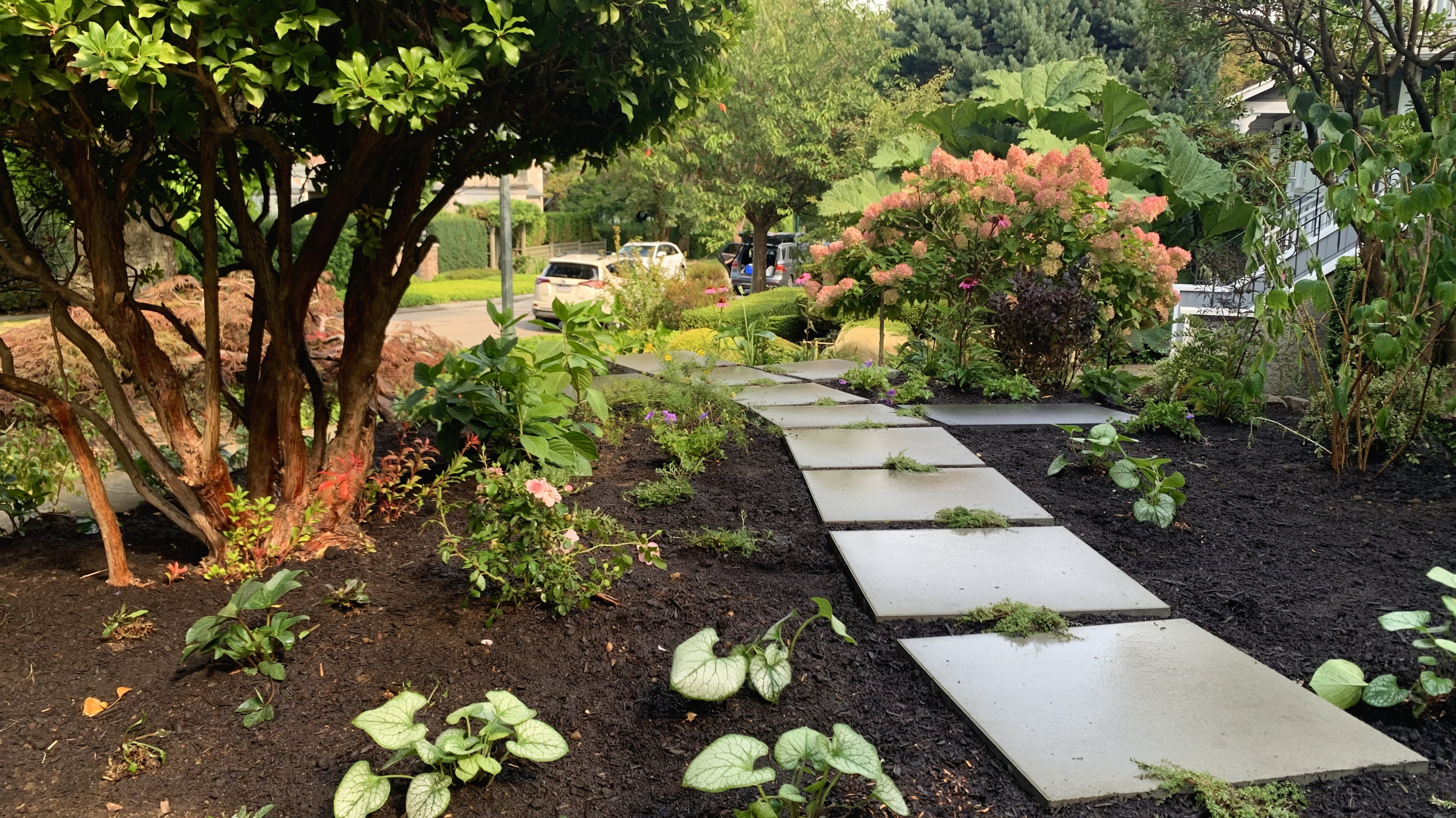 Custom design, Concrete slabs, Garden beds and Plants at the West 10th project.
