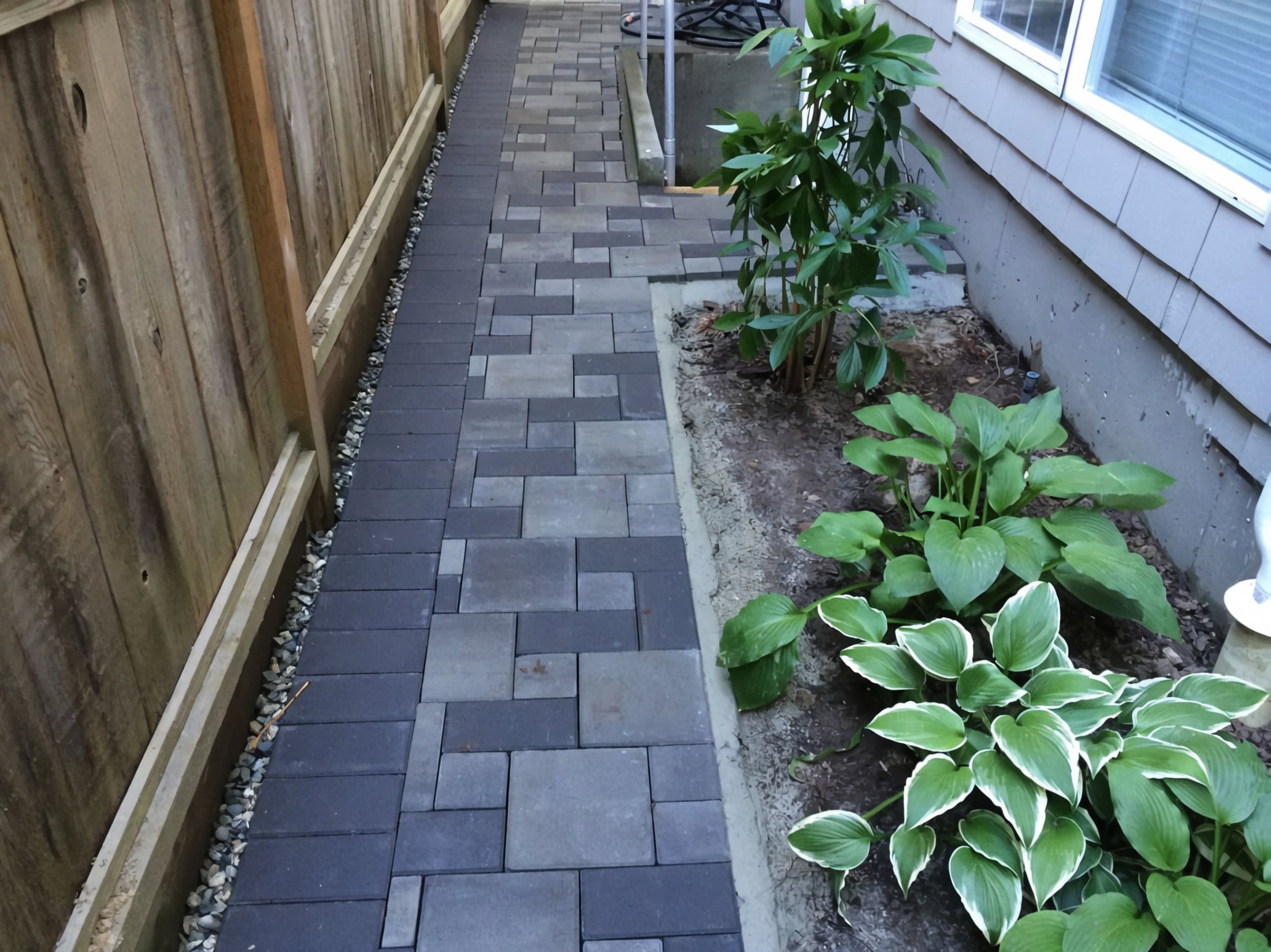 Interlocking pavers, Micro clover, Garden beds and Plants at the West 11th project.