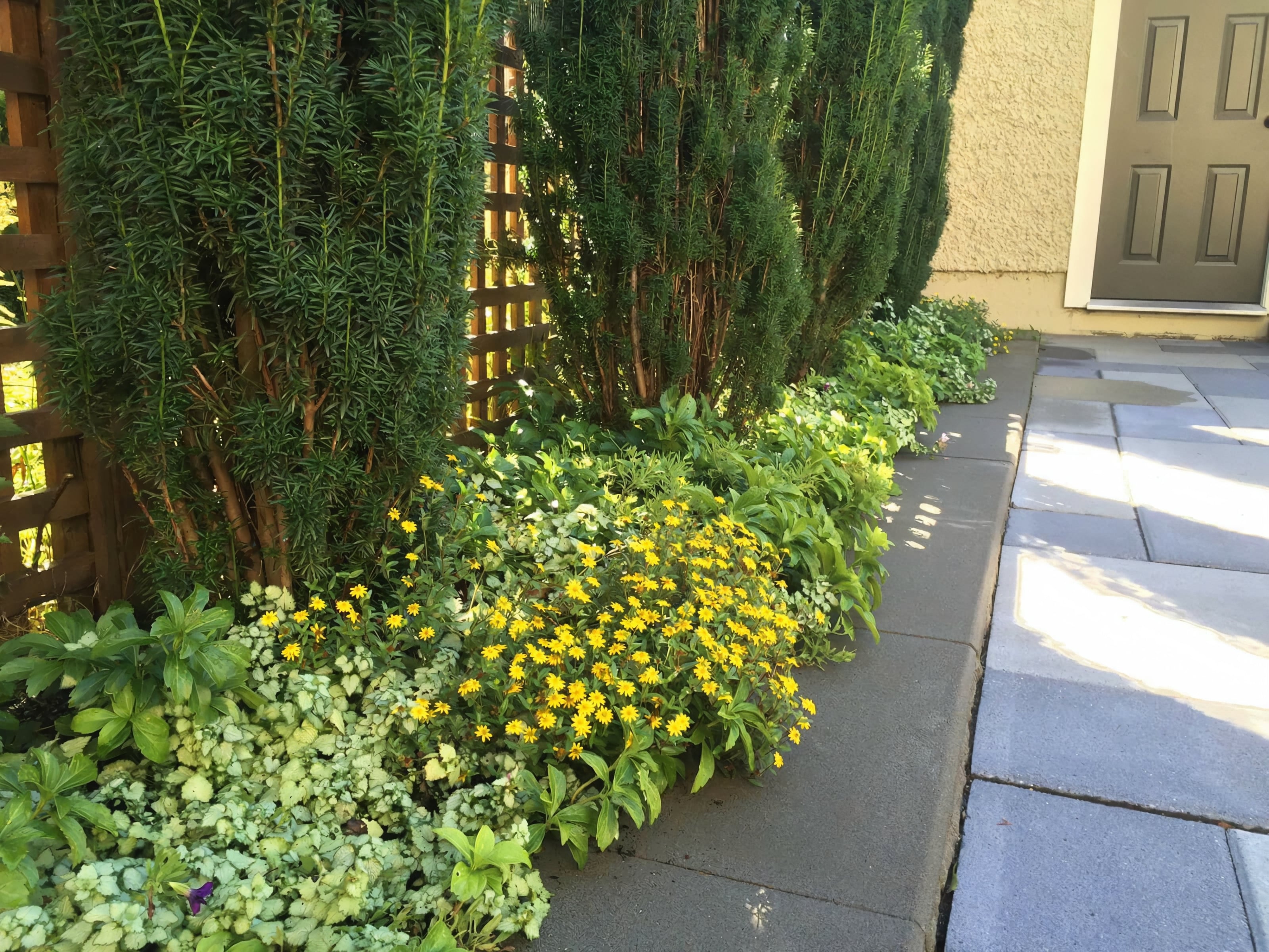 Interlocking pavers, Retaining walls, Irrigation and Hedge trimming at the West 31st project.