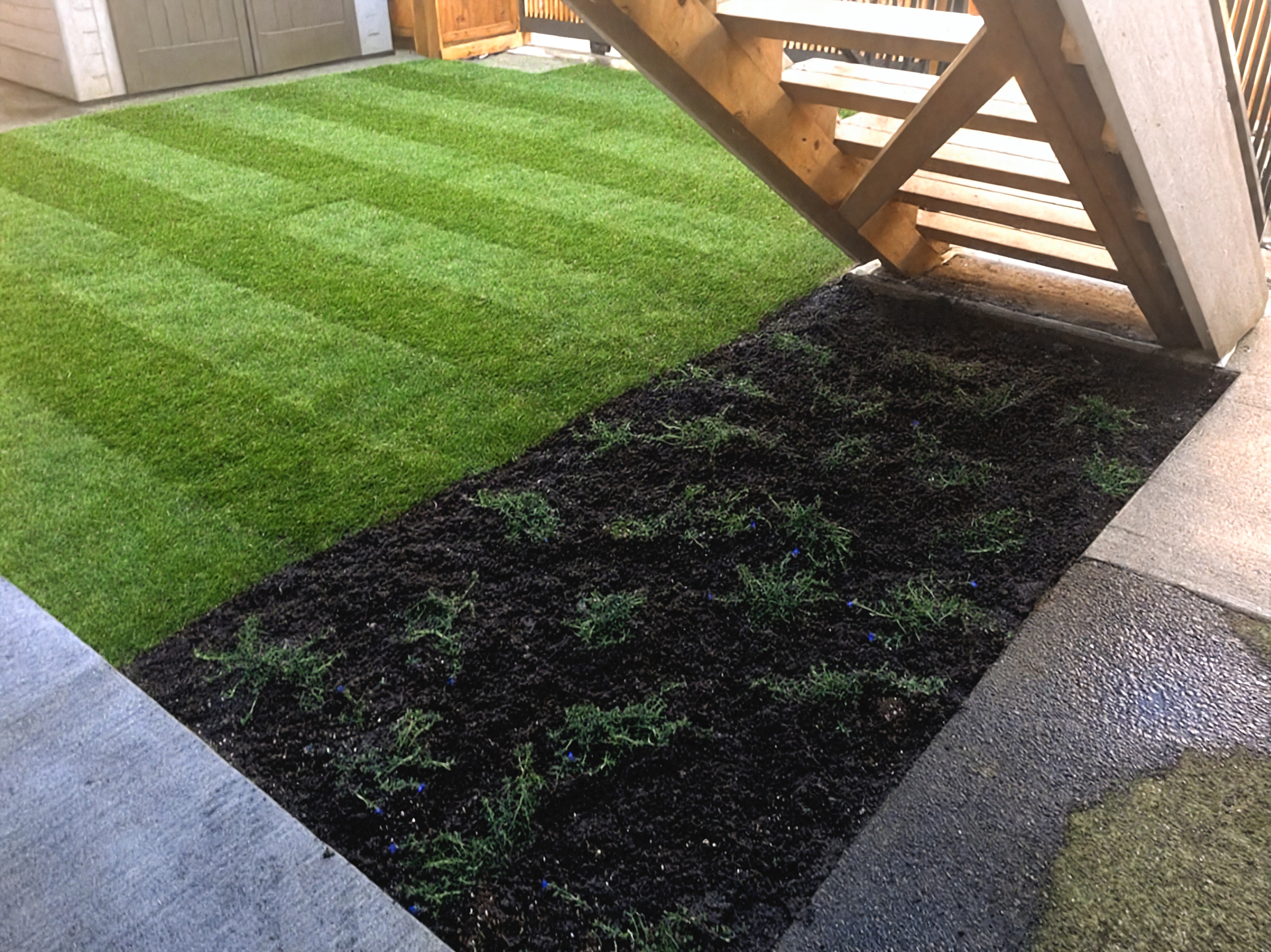 Garden beds, Sod lawn, Concrete slabs and River rock at the East 22nd project.