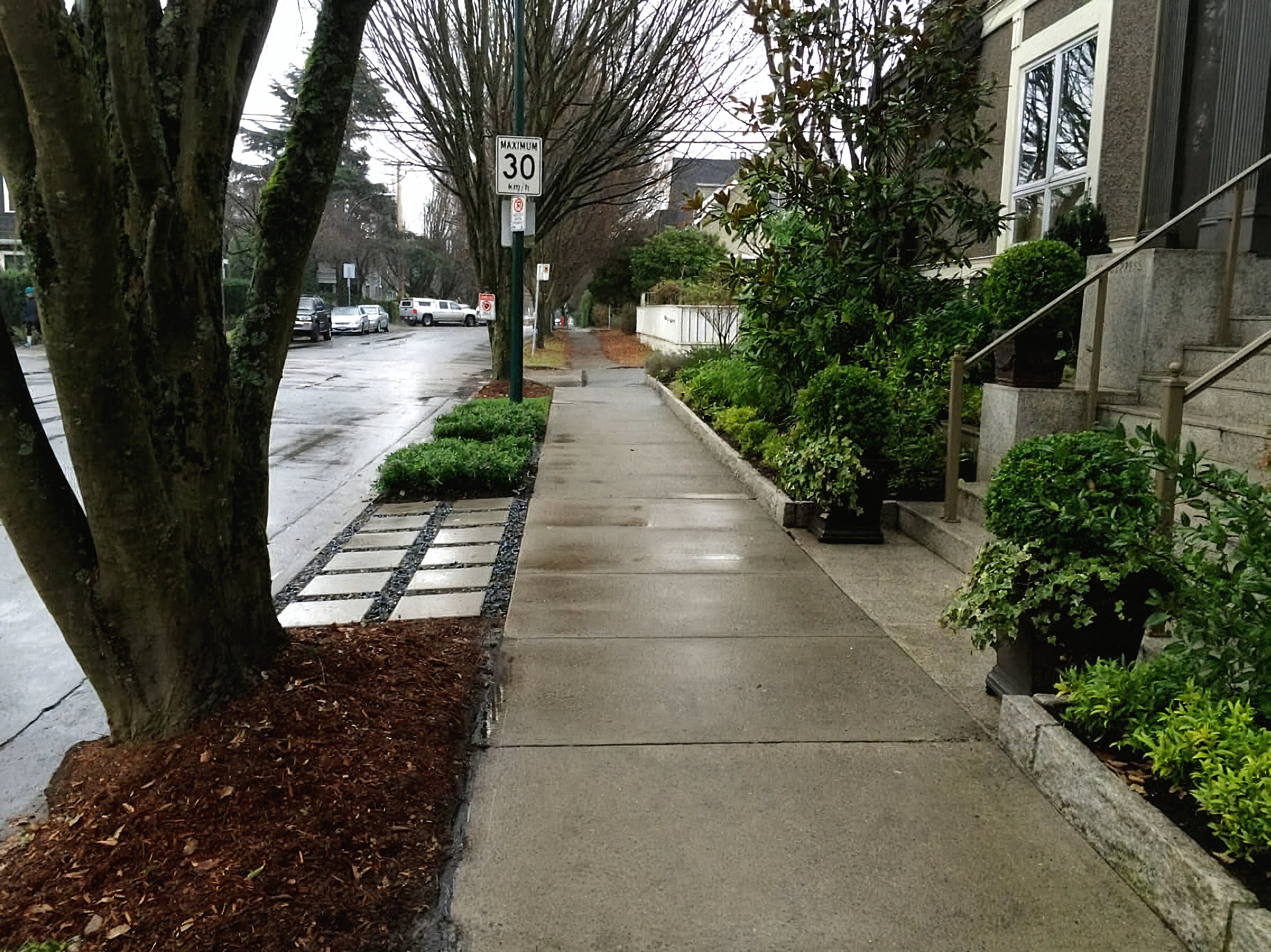 Cypress St