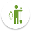 icon of person planting a tree