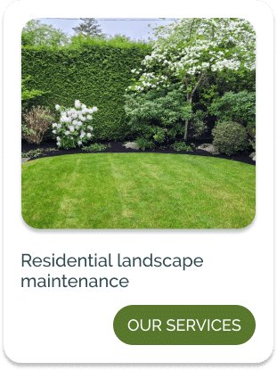 services - residential landscaping maintenance, image of freshly cut lawn with hedge