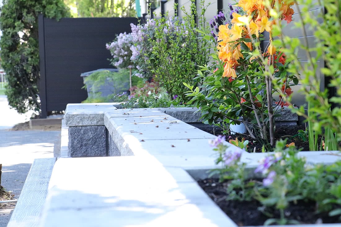 vancouver residential garden renovation - retaining wall with bench and plants