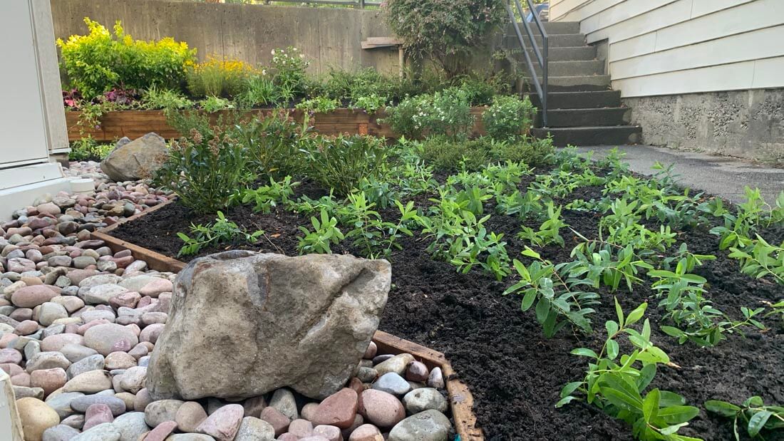 condo landscape installation detail - decorative river rock and large river rock and new plants